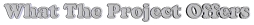 What the Project Offers
